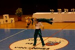 2006 04 01 acro val marne 303